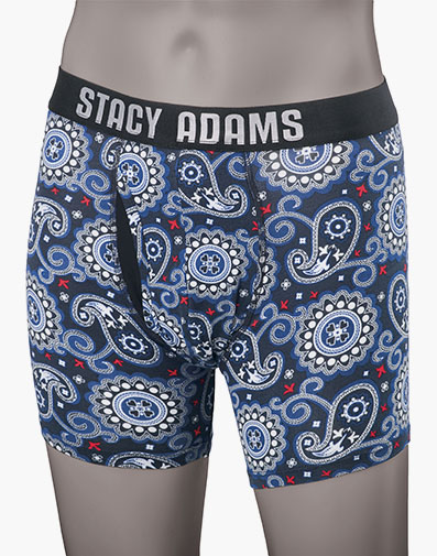 Boxer Brief Performance Fabric in Blue for $$19.95